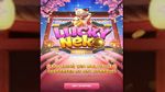 សំណាង Neko Port Trial & Testimonial 2025